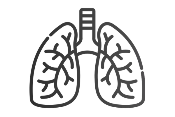 Pulmonology
